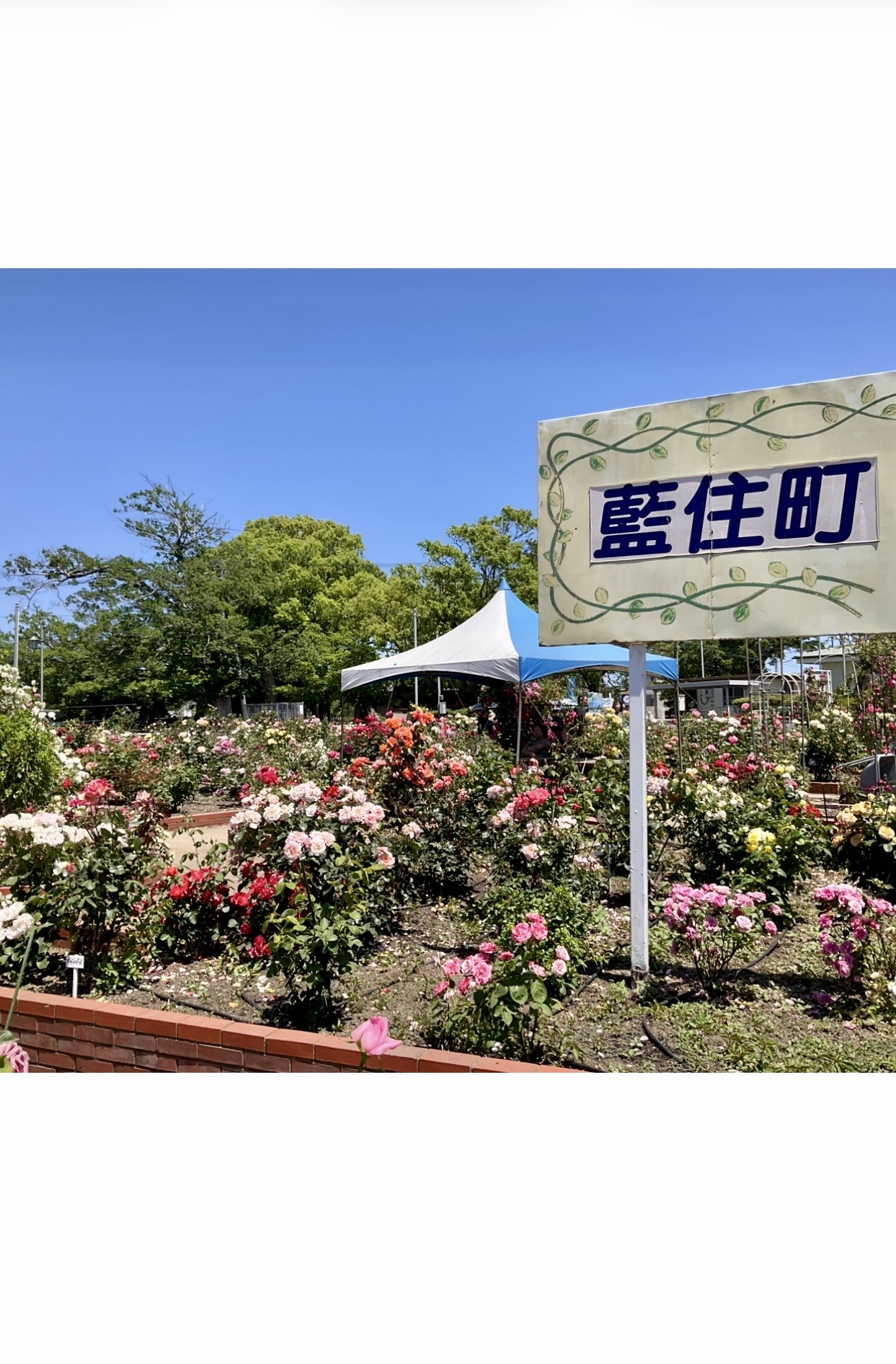 ５月１７日　撮影